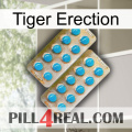 Tiger Erection new08